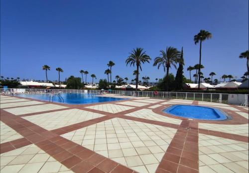 a large swimming pool with palm trees in the background at Albaricoques Sun & Beach in Maspalomas