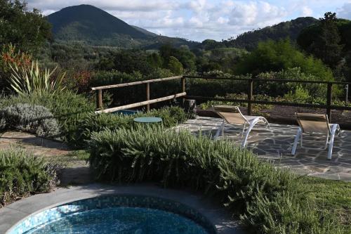 a pool in a garden with chairs and a table at La Casa Gialla in Lucca