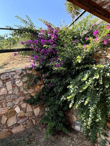 a bush of purple flowers on a stone wall at La Casa Gialla in Lucca