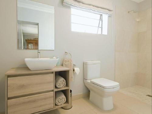 a bathroom with a sink and a toilet and a mirror at Longhill Reserve in Addo