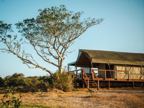 a gazebo in a field with a tree at Longhill Reserve in Addo