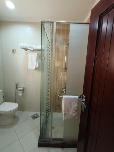 a bathroom with a glass shower with a toilet at Double Room in Cairo