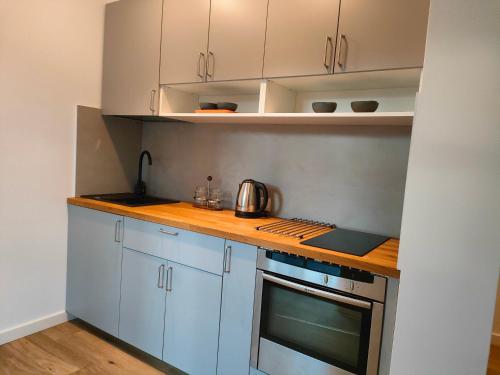 Dapur atau dapur kecil di Apartamenty Dom Zielony