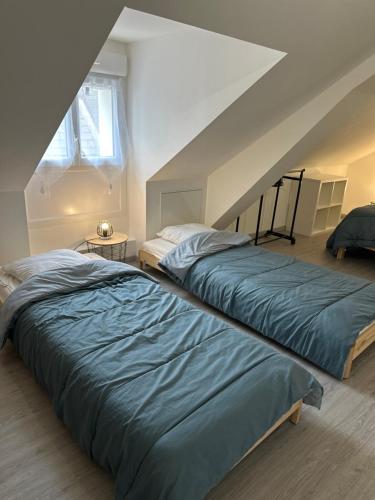 deux lits dans une chambre avec un grenier dans l'établissement la cavonnière, à Saint-Aignan