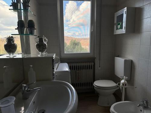 a bathroom with a toilet and a sink and a window at Casa Augusto ai Berici, con Idromassaggio e Sauna in Arcugnano