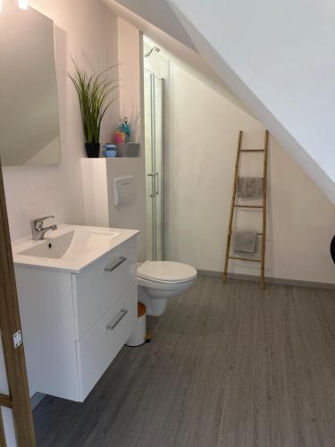 La salle de bains est pourvue de toilettes, d'un lavabo et d'une échelle. dans l'établissement la cavonnière, à Saint-Aignan