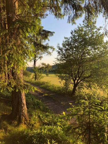 a path in a field between two trees at Fewo Meschede Eversberg Radring in Meschede