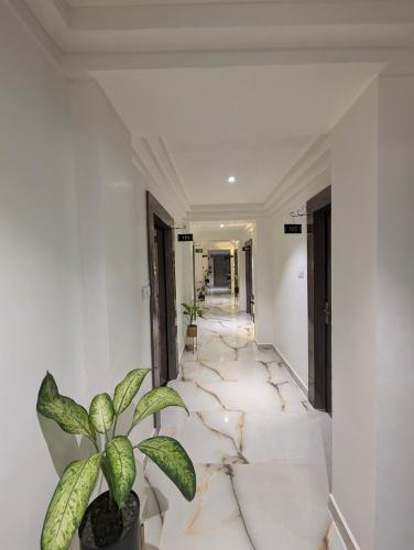 a hallway with a potted plant on the floor at The Vibs International in Damoh
