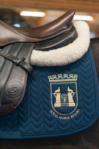 a blue bag and a pair of shoes on a table at Royal Horse Resort in Balkasodis