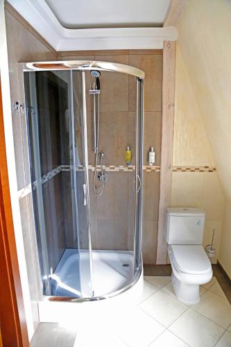 a shower in a bathroom with a toilet at Villa Solankowa in Inowrocław