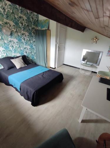 une chambre avec un grand lit et une télévision dans l'établissement Chambre et salle de bain, à Lescar