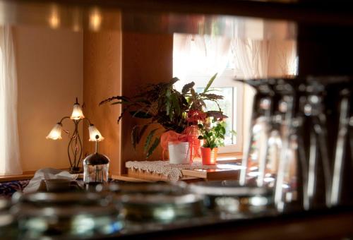 a table with a potted plant and a window at Hotel Michela in Malè
