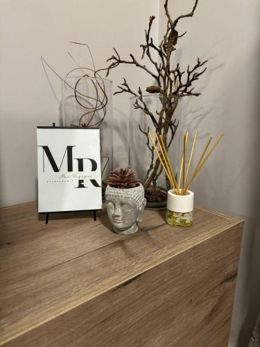 a shelf with a statue and plants on it at Meu Refugio Apartamento in Silveira