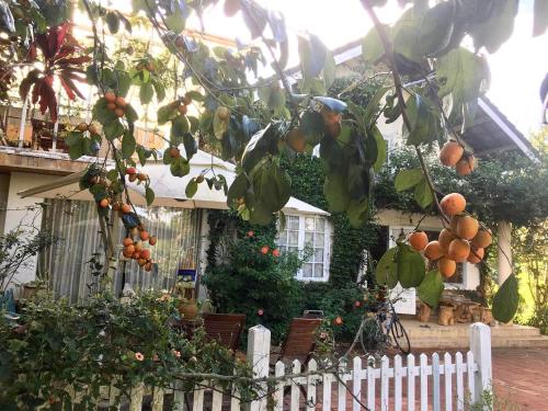 Giardino di Family house - stay on pine hill Dalat