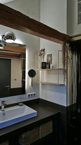 une salle de bain avec un lavabo et un miroir dans l'établissement Apartement Strasbourg entre hypercentre et verdure, à Bischheim