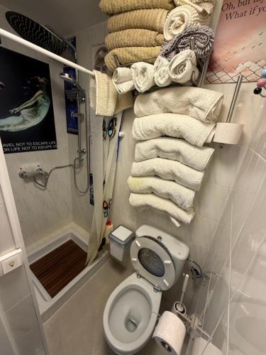 a bathroom with a toilet and a shower and towels at FLAT Surrounded by Nature WIFI & Pool & beach Nearby in Son Parc