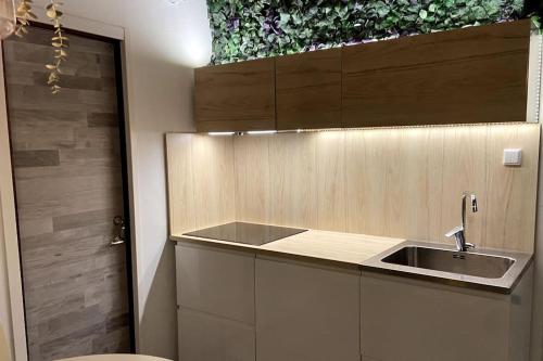 a kitchen with a sink and a counter top at Apartment Eden near nature in Vaggeryd