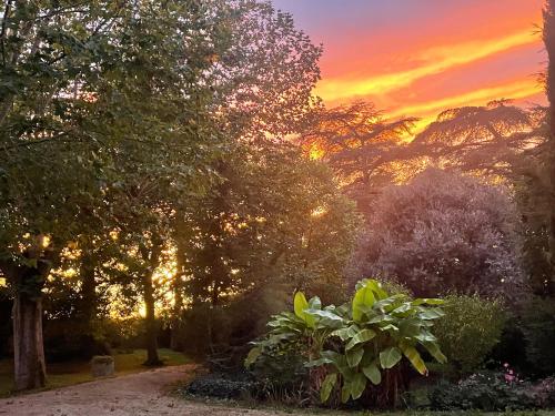 a sunset in a park with trees and a dirt road at Manoir d Armagnac in Courrensan