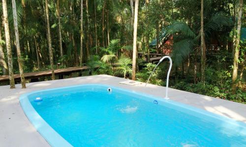 a swimming pool with a faucet in a forest at Surucua Reserva & Ecolodge in Comandante Andresito