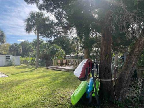 a tree with a group of inflatable slides on it at ChassRiverVibes in Homosassa