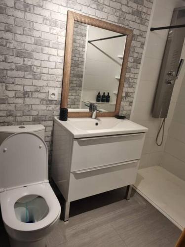 une salle de bain avec toilettes, lavabo et miroir dans l'établissement Villa en Provence, à Pernes-les-Fontaines