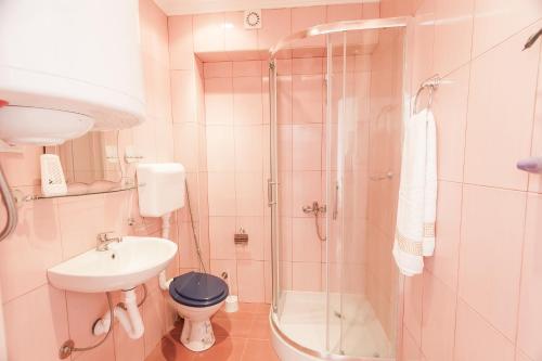 a bathroom with a shower and a toilet and a sink at Rooms and Apartments Milana in Bar