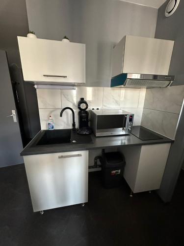 une cuisine avec un évier et un micro-ondes sur un comptoir dans l'établissement STUDIO JACCUZZI A 2 Min dAvignon, aux Angles (Gard)