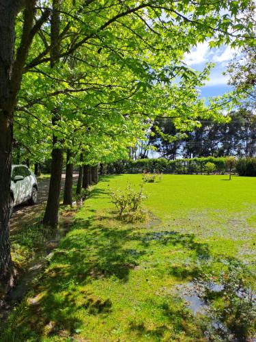 a park with trees and a field of grass at Hospedaje Casa Betalpu in Culenar