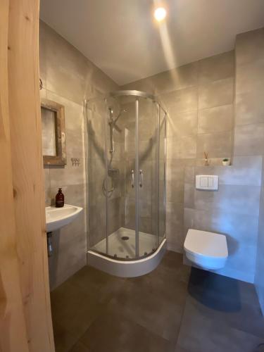 a bathroom with a shower and a toilet and a sink at Wilcza Chata in Polańczyk