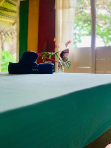 a close up of a table with a green at Hidden Well Hiriketiya in Hiriketiya