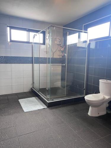 a bathroom with a shower and a toilet at Teisha House in Souillac