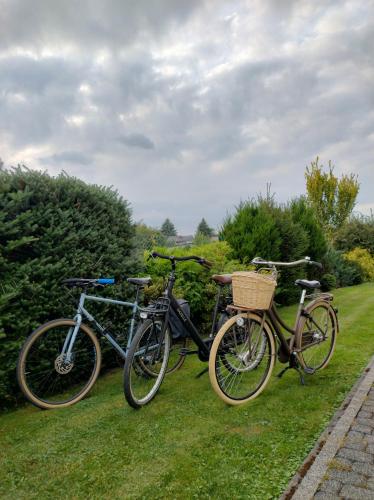 two bikes parked next to each other on the grass at Domek Zgredek in Żywiec