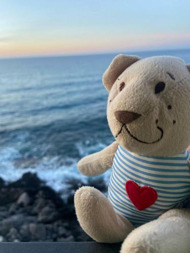 a teddy bear wearing a striped shirt sitting next to the ocean at Terrazza Roberto in Cefalù