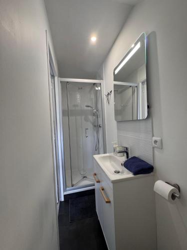 une salle de bain blanche avec une douche et un lavabo dans l'établissement Charmant Studio Centre ville, à Caen