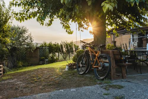 an orange bike parked next to a tree at Sentiero Degli Ulivi Mascia in Caiazzo