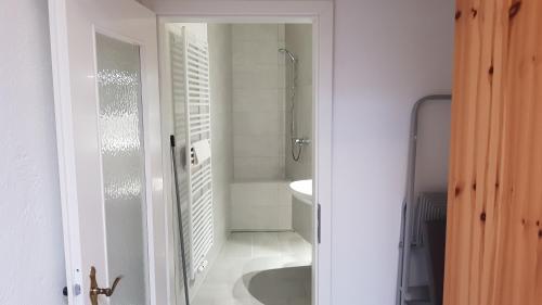 ein weißes Badezimmer mit Dusche und Toilette in der Unterkunft Altstadtloft Lüneburg in Lüneburg