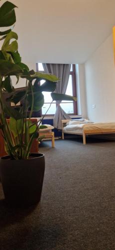 a potted plant in a room with a bedroom at Ausblick Freital 3 in Freital