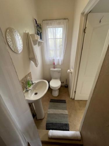 a bathroom with a sink and a toilet and a window at Valley View Cottage Unit 8 Hilltop Farm in Rosetta
