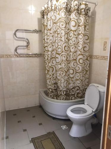 a bathroom with a toilet and a shower curtain at Karavella in Mykolaiv