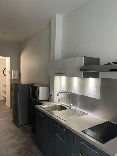 une cuisine avec un évier et un réfrigérateur dans l'établissement Rooftop d'exception au Cœur du Puy-en-Velay, au Puy-en-Velay