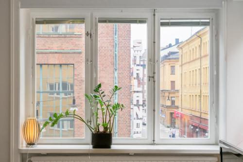 a window with a potted plant on a window sill at Apartment in Södermalm 1-4 people 47 sqm in Stockholm