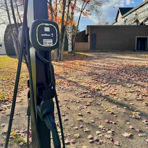 a parking meter on the side of a street with leaves at Initial / La Crête / MSA+pool in Beaupré