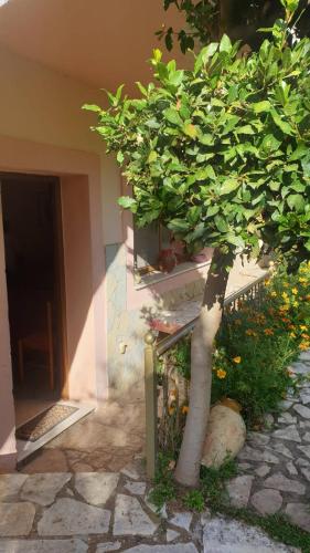 Morus Guesthouseにある庭