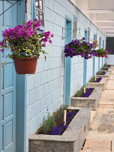 a row of flowerpots on a building with purple flowers at Pousada Villa Dolce Amore - Boutique Hotel in Campos do Jordão