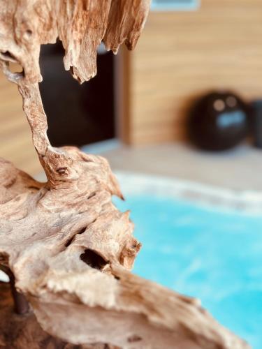 a piece of drift wood next to a swimming pool at Brit Hotel & Spa Saint Brieuc Plérin in Plérin