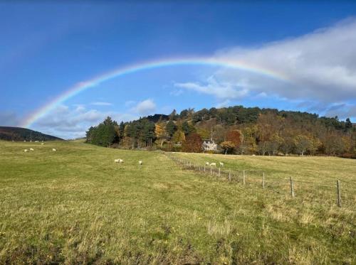 a rainbow in the sky over a field with sheep at Craggan in Ballater