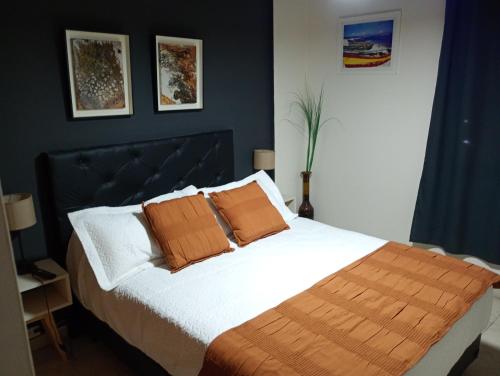 ein Schlafzimmer mit einem großen Bett mit zwei Kissen in der Unterkunft Dptos NUEVOCENTRO 2 in Cordoba