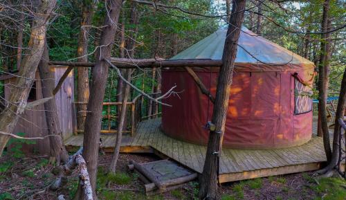 a red tent on a wooden deck in the woods at Finlays Cove on the Lake in Colchester