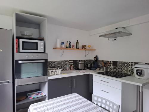 La cuisine est équipée d'un réfrigérateur noir et d'un four micro-ondes. dans l'établissement Appartement au rez-de-chaussée d'une maison, à Pessac