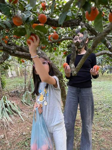 a man and a girl standing under a fruit tree at Chalés Del'Minas in Passa Quatro